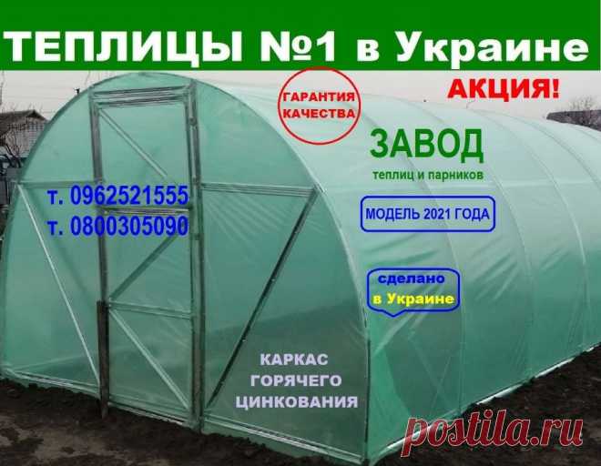 Теплица 3х6 3х4 3х8 3х10 - 3х20 с пленкой и поликарбонатом от ЗАВОДА!: 2 750 грн. - Сад / огород Ровно на Olx