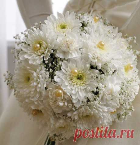 хх
