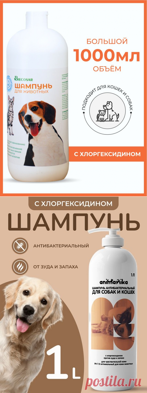Шампунь для собак с хлоргексидином антибактериальный, 1 л Biecosar 95860966 купить за 328 ₽ в интернет-магазине Wildberries