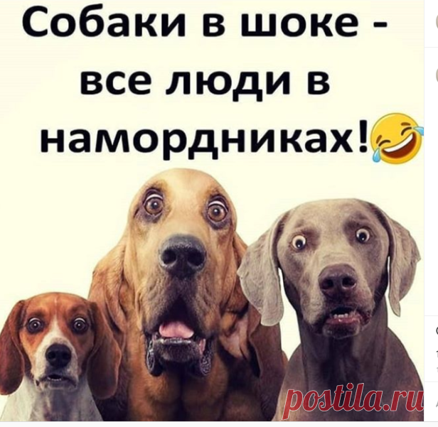 Артур Каминский в Instagram: «#коронавирус #комендантскийчас #эпидемия #пандемия #вирус #covid»