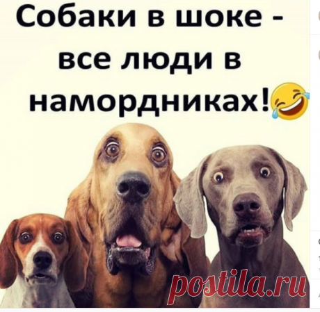 Артур Каминский в Instagram: «#коронавирус #комендантскийчас #эпидемия #пандемия #вирус #covid»