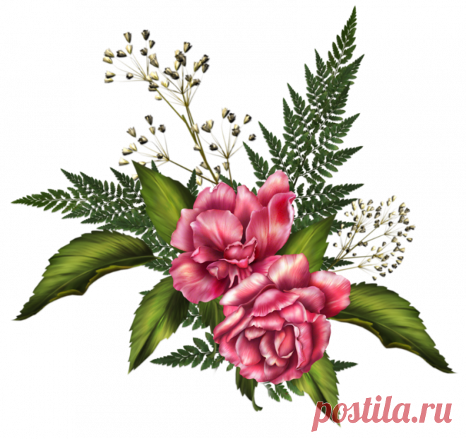 Цветы - Клипарты PNG - Клипарты у Анны.