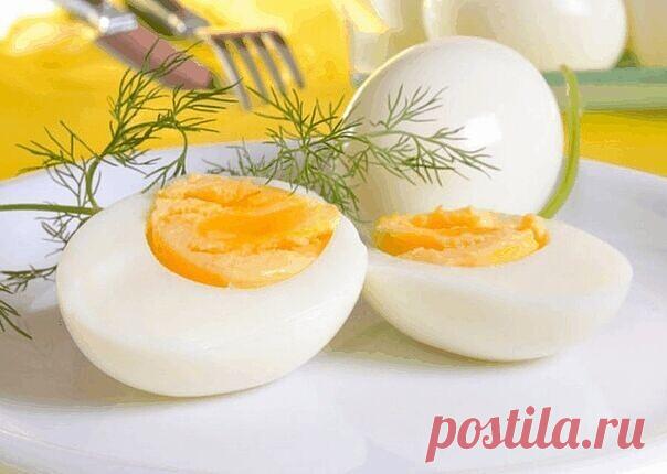 ЕСЛИ НАДО СРОЧНО ПОХУДЕТЬ..
Яичная диета

Знаете ли вы, что продуманная до мелочей система питания поможет быстро похудеть на 10 кг всего лишь за 2 недели. Этот метод похудения идеален – если нужно срочно похудеть! Не используй его дольше – может быть сильная потеря веса

На такой диете не придется голодать: яйца и правда очень сытный продукт. Ознакомься с этим меню, тебе наверняка захочется похудеть при помощи данных продуктов…

Отказавшись от углеводов, ты сможешь быстро...