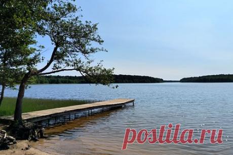 Двоих граждан Узбекистана задержали за приставания к 12-летней россиянке у озера. В Петербурге двоих 19-летних граждан Узбекистана задержали за приставания к 12-летней девочке у Верхнего Суздальского озера. Примерно в 19:30 к спасателю, работающему на озере, подбежала школьнице и сказала, что к ней пристает незнакомец. Спасатель вызвал полицейских. Те задержали двоих иностранцев.