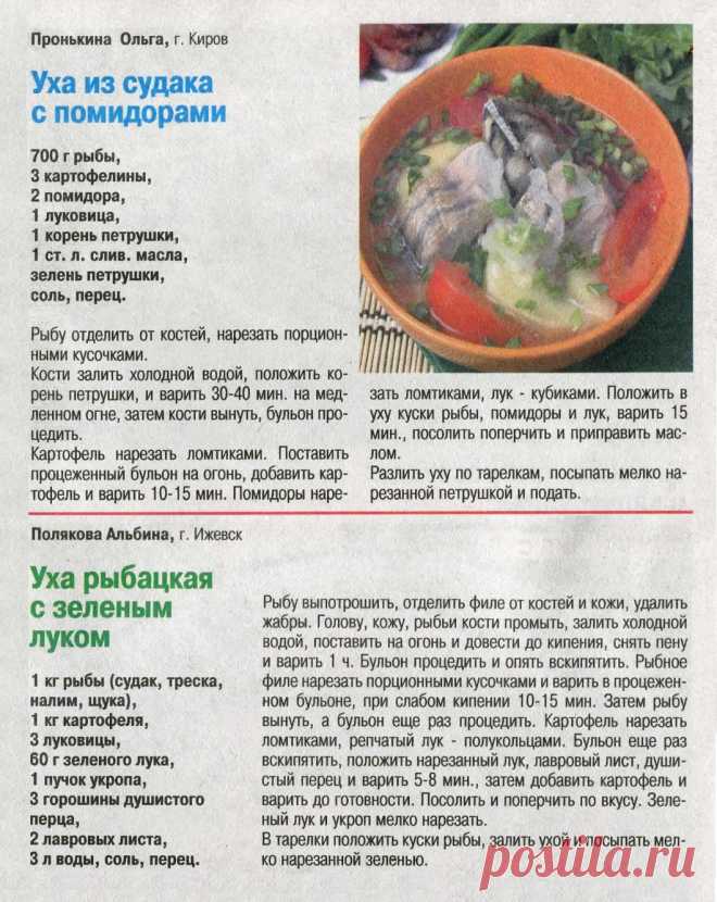Уха из судака с помидорами. Уха рыбацкая с зеленым луком