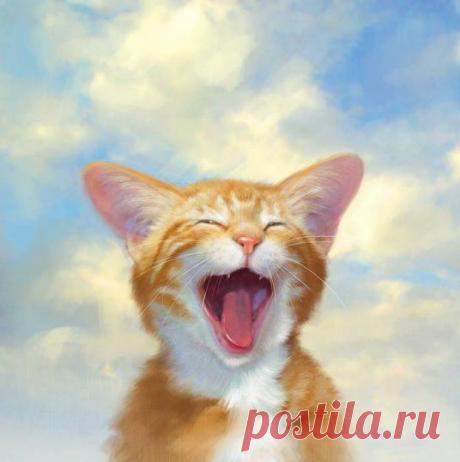 Кошачьи портреты. Роберт Папп