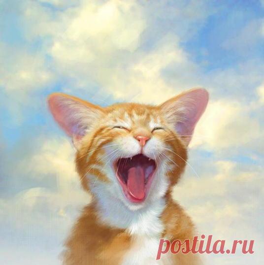 Кошачьи портреты. Роберт Папп