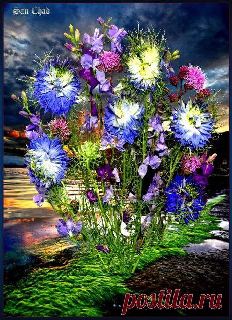 сан чад графика - Поиск в Google