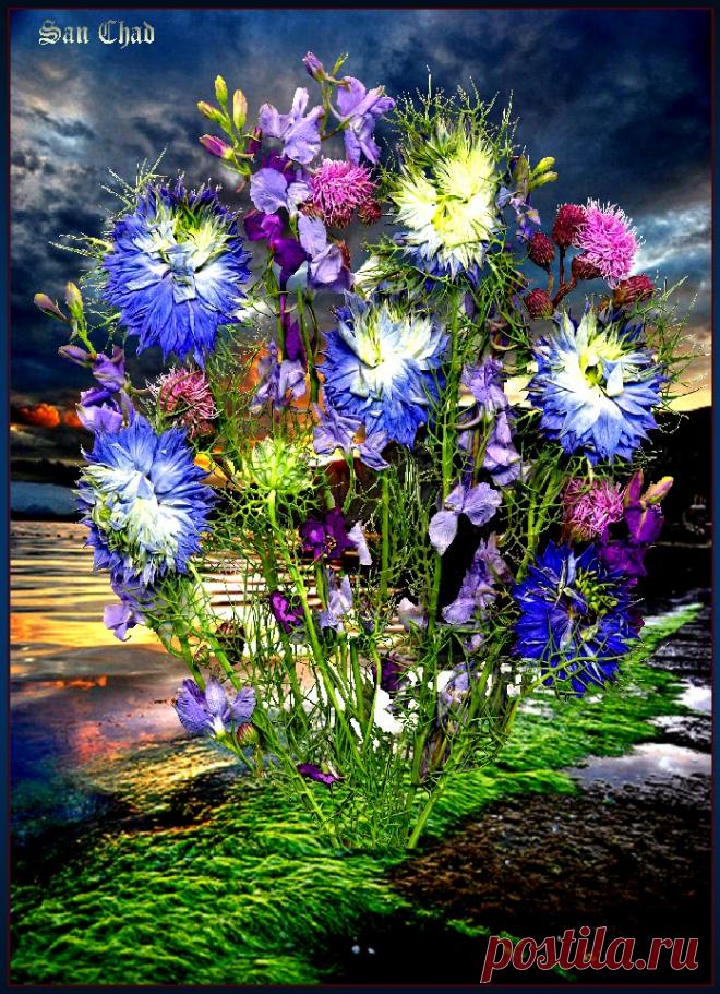 сан чад графика - Поиск в Google