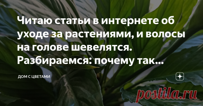 Читаю статьи в интернете об уходе за растениями, и волосы на голове шевелятся. Разбираемся: почему так нельзя Я продолжаю изучать статьи об уходе за растениями, и волосы на моей голове все больше поднимаются. Так делать НЕЛЬЗЯ ⬇️   Встретила тут совет (сверху скриншот) : после пересадки хорошо полить женское счастье удобрениями для цветущих, можно даже дозу немного увеличить. Опрыскать листья с удобрением или эпином. Что не так? Да, все не так, из всего этого можно только ...
