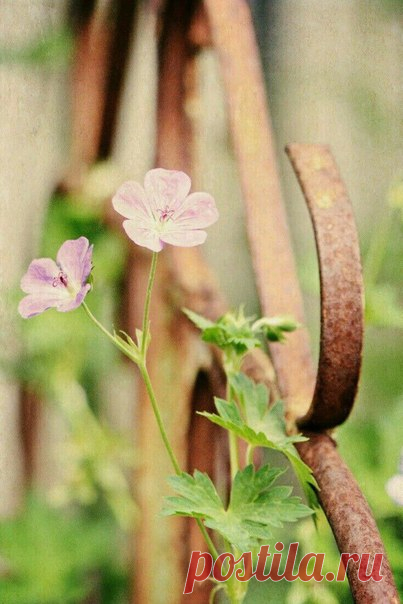 Случайные фотографии самые красивые. Случайные фразы самые верные. Случайные взгляды самые приятные. Случайные открытия самые важные. (с)