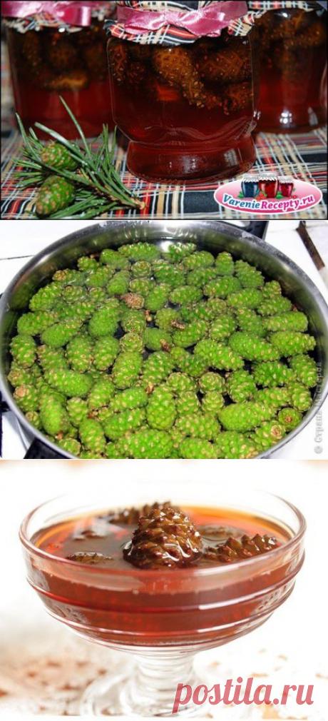 (+1) тема -  из еловых шишек | Любимые рецепты