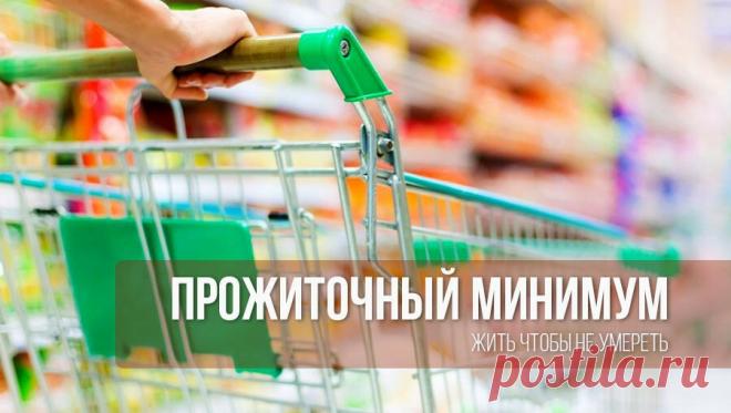 Мой прожиточный минимум.Я не могу уложиться в официальную сумму, как ни стараюсь. | Хозяюшка МарТа. | Яндекс Дзен