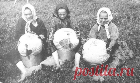 Как на Руси отличали девицу от мужней жены | Любители истории