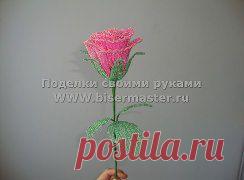 Мастер класс "Роза"


Сначала делаем лепестки. Бисер берем тот, который Вам нравится. Это будет основной цвет. И более светлый на отделку. Техника плетения — французская. На основную ось набираем два сантиметра бисера.
•••в продолжении фото