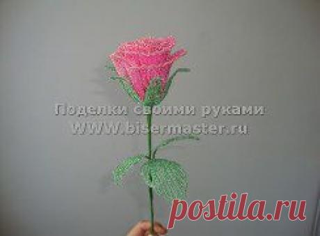 Мастер класс &quot;Роза&quot;


Сначала делаем лепестки. Бисер берем тот, который Вам нравится. Это будет основной цвет. И более светлый на отделку. Техника плетения — французская. На основную ось набираем два сантиметра бисера.
•••в продолжении фото