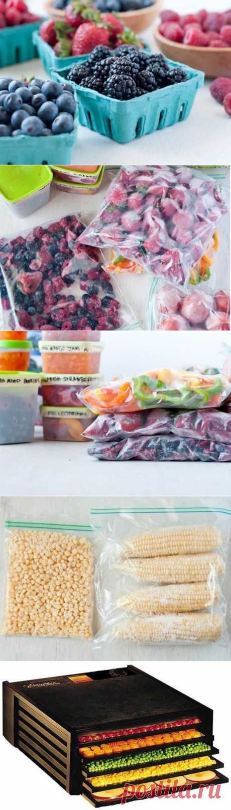 Заготовка здоровых продуктов на зиму — Делимся советами