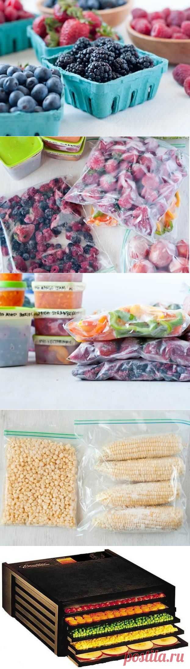 Заготовка здоровых продуктов на зиму — Делимся советами
