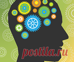 Как заставить мозг человека работать быстрее и эффективнее — Викиум.ру