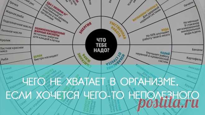 Чего не хватает в организме, если хочется чего-то неполезного Организм человека очень напоминает компьютер. Следите за его показаниями крайне внимательно.