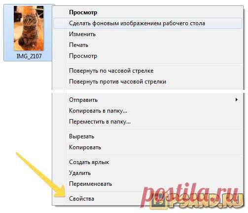Что такое EXIF данные цифровой фотографии