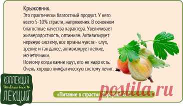 Крыжовник