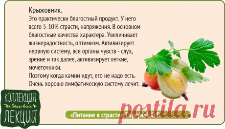 Крыжовник