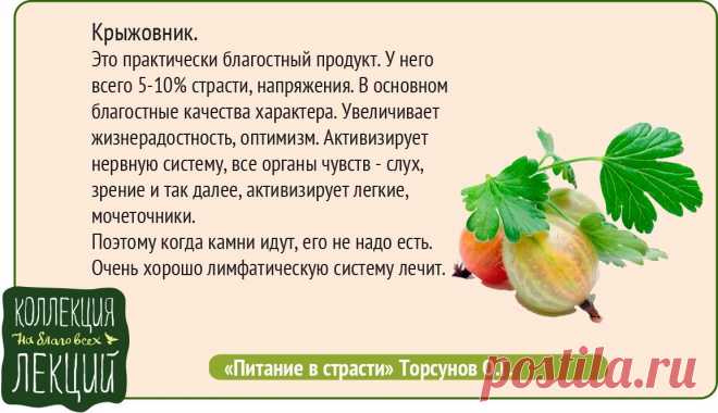 Крыжовник