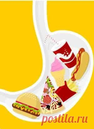 Время переваривания пищи в желудке