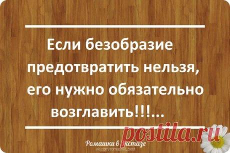 ✔ Ромашки в Экстазе