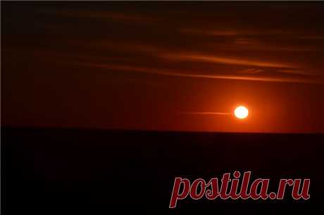 Фестиваль тюльпанов. Калмыкия. / Репортажи / Моя Планета