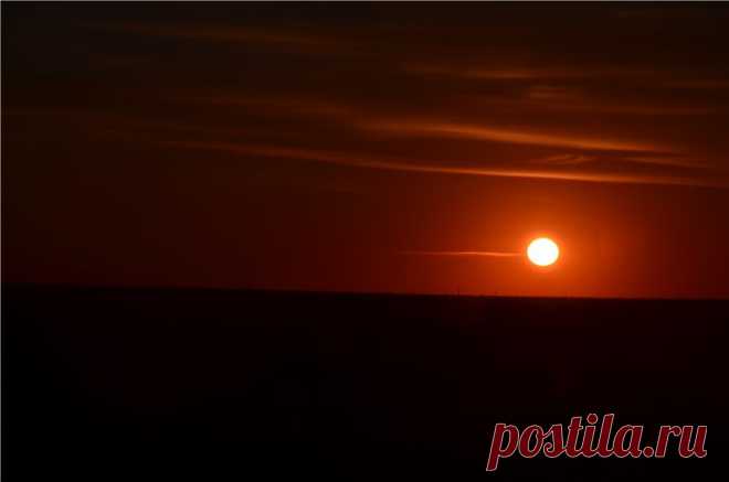 Фестиваль тюльпанов. Калмыкия. / Репортажи / Моя Планета