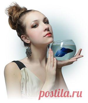 Мини-аквариум с петушком