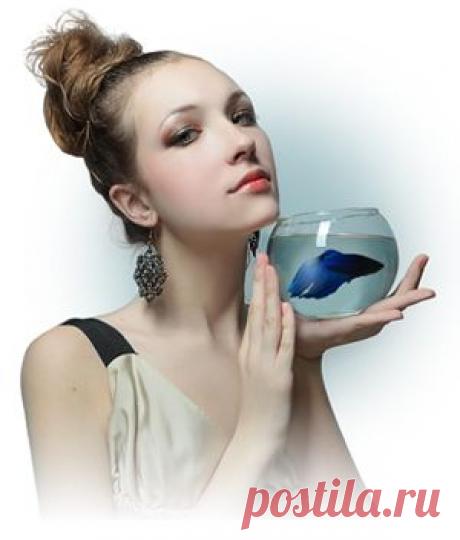 Мини-аквариум с петушком