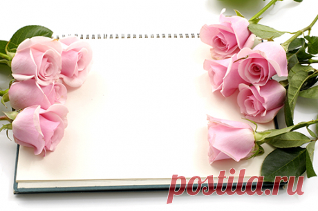 bg0009_2.jpg (510×339)