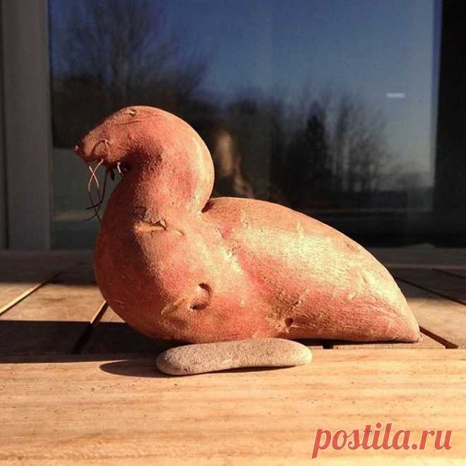 Плоды странной и забавной формы | Чёрт побери Природа зачастую удивляет своей фантазией, преподнося фермерам урожай, в котором нет-нет, да окажется фрукт или овощ, который впору выставлять в музее природных чудес. Взгляните на эти творения природы, чтобы понять, насколько богата фантазия матушки-природы!   