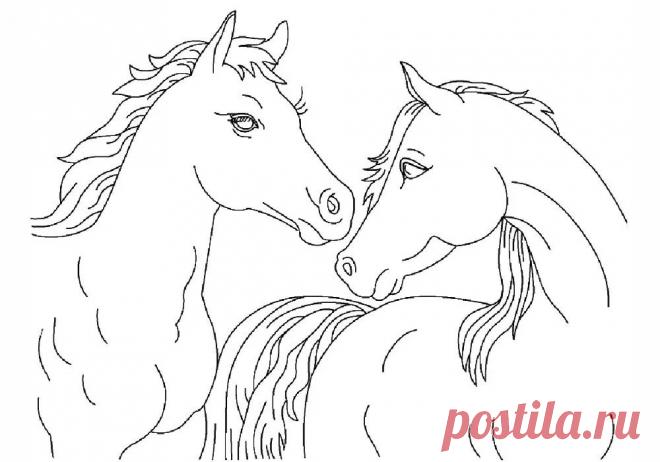 Кинусайга трафареты для картин: 7 тыс изображений найдено в Яндекс.Картинках