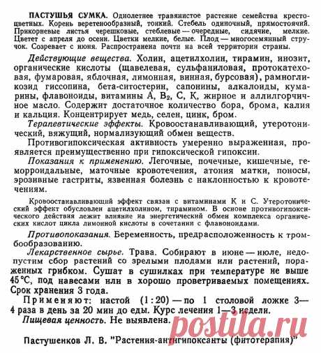 Пастушья сумка