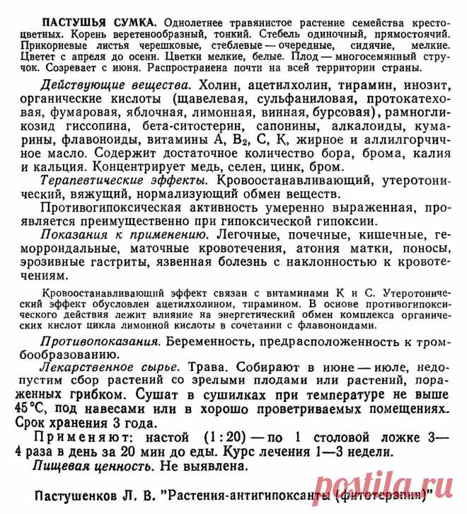 Пастушья сумка