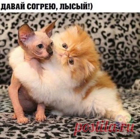 Одноклассники