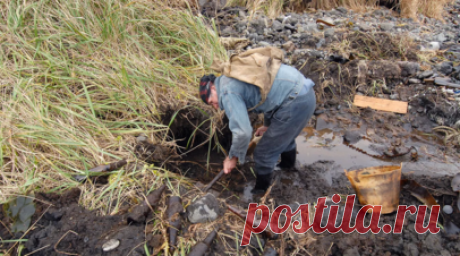В Клину обнаружили останки более 50 красноармейцев. Останки более 50 красноармейцев обнаружены на Зубовском повороте в подмосковном Клину, где во время Великой Отечественной войны проходила одна из линий обороны Москвы. Читать далее