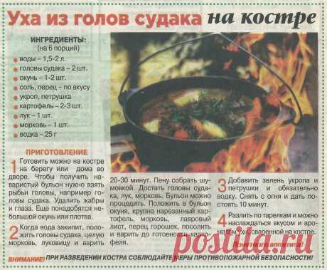 Уха из голов судака на костре