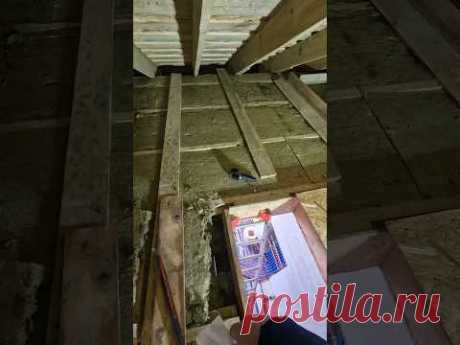 Пароизоляция должна быть снизу утеплителя. Иначе будет конденсат. #стройка #работа #кровля #дом