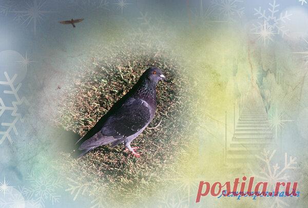 23 декабря 2018. Магия лунных и солнечных суток | Астропропаганда | Яндекс Дзен

Автор: астролог Нина Стрелкова. Символы, магия, гадания, приметы, сны, талисманы, камни этого дня. 
Солнечно-лунный календарь на 23 декабря 2018 года. 
Воскресенье, день Солнца, планеты радости. По солнечному календарю 8-й день, символы: Скрещённые копья, Магический жезл. По лунному календарю 16-й день, символы: Голубь, Лестница в небо. Луна в этот день в Раке, знаке домашнего комфорта. День связан с...