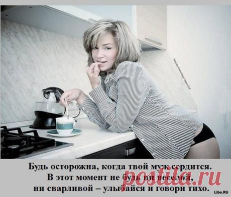 (+1) сообщ - Домохозяйки - 2 | ДОМОХОЗЯЙКИ+