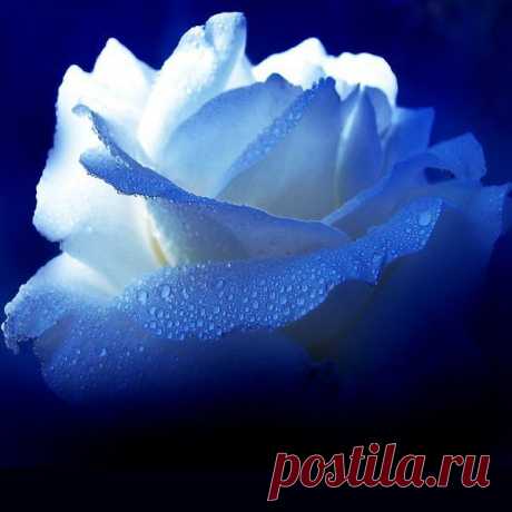 Фотографии на стене сообщества | 32 837 фотографий | ВКонтакте