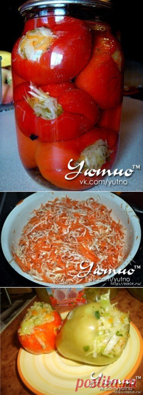 Надежда Колосова