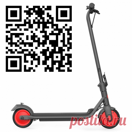 Ninebot KickScooter C20