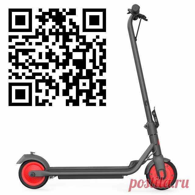 Ninebot KickScooter C20