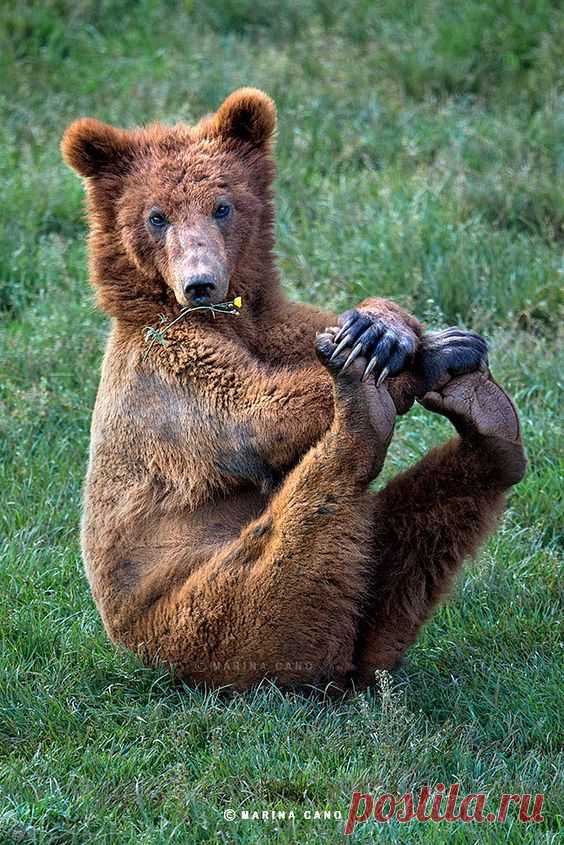 (715) Pinterest